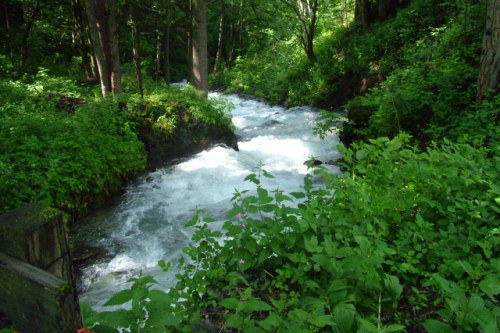 Torrente