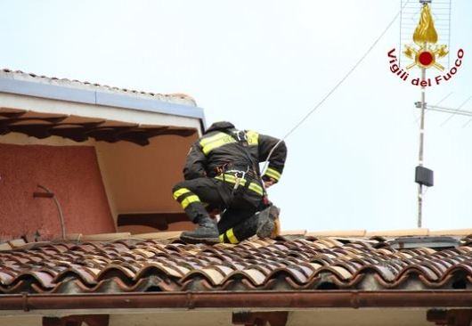 vigili-fuocoterremoto1x530