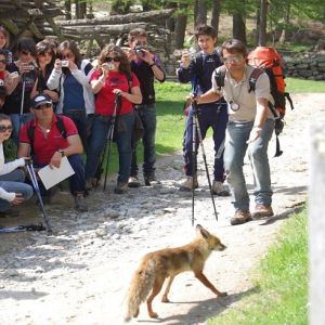 36 studenti siciliani nel Parco Nazionale Gran Paradiso per uno stage naturalistico