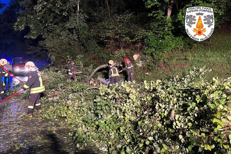 La strada regionale 45 chiusa un'ora per un albero caduto