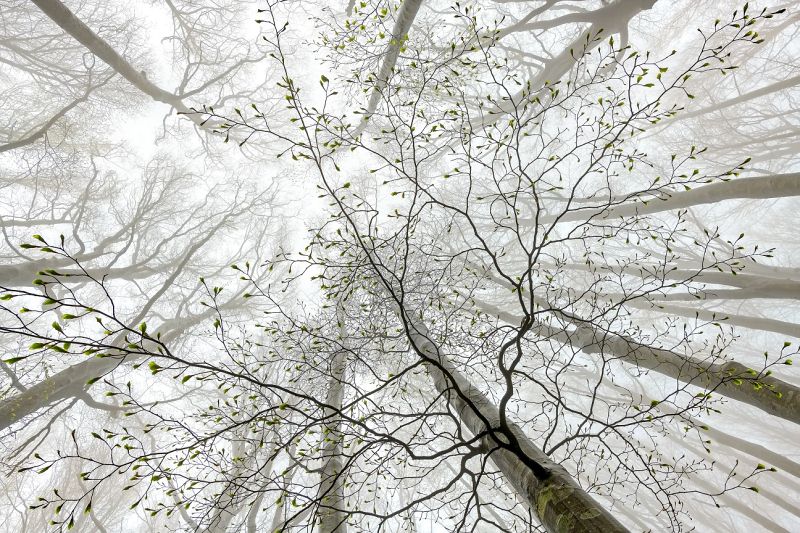 Inverno e Primavera di Elisa Confortini