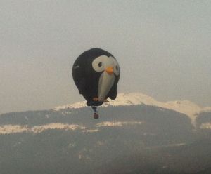 Aosta, un pinguino gigante in volo sui cieli della città