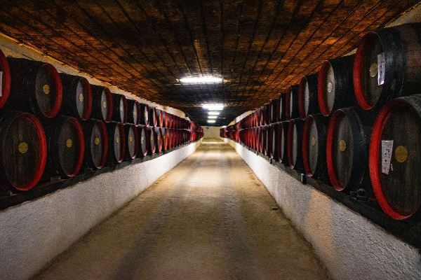Il mestiere dell'enologo: i cilindri graduati per la produzione di vini pregiati