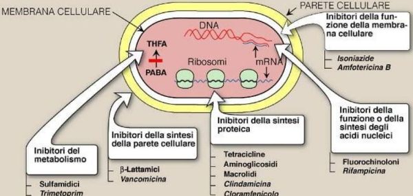 antibiotici