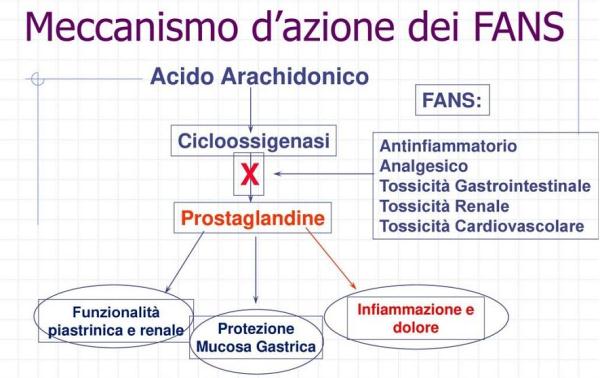 Meccanismo d'azione dei FANS