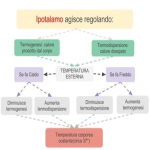 ipotermia