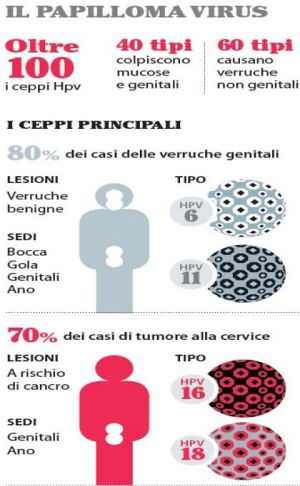 hpv nell ano)