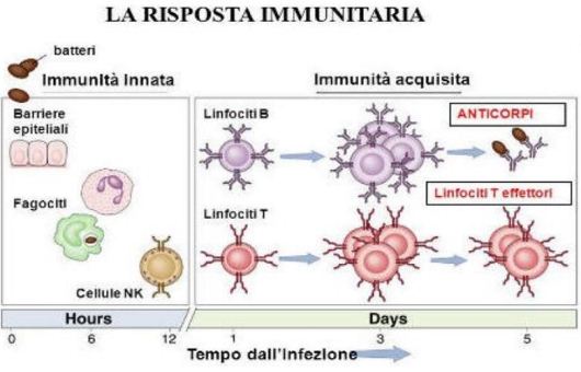 vaccini1