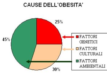 Cause dell'obesità