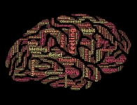 Intrattenimento e strategia: quando la mente conta