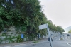 Alberi pendenti sulla carreggiata, il Comune ne ordina il taglio
