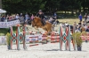 Un successo la decima edizione di Torgnon Chevaux