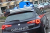 Sequestrati 45 gatti malnutriti trovati in un appartamento a Verrès