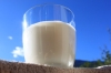 Dermatite nodulare, autorizzata la deroga per latte e Fontina