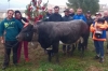 Batailles, a Brissogne bosquet per Paison, Furie e Diable