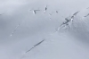 Due corpi estratti da un crepaccio sul Gran Paradiso
