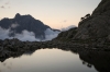 L'attimo selvatico tema del 21° Concorso fotografico di FGP