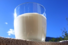 Dermatite nodulare, autorizzata la deroga per latte e Fontina