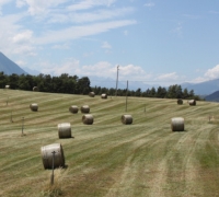 I principali provvedimenti approvati dalla Giunta regionale della Valle d'Aosta