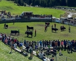 Le Batailles de Reines ripartono da Brissogne