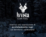 Attiva l'app Avvista Lupi per inviare segnalazioni al Corpo forestale