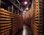 Fontina Dop, cambia il Disciplinare di produzione