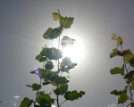 Meteo Valle d'Aosta: oggi il giorno più caldo, poi temperature in leggero calo