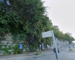 Alberi pendenti sulla carreggiata, il Comune ne ordina il taglio