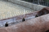 Aosta, nuova ordinanza per la bollitura dell'acqua