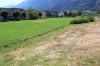 AVS: un bosco-filtro e parco ecologico per il quartiere Dora