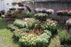 Ad Aymavilles la 4a edizione della mostra mercato Marché aux Fleurs