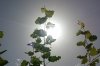 Meteo Valle d'Aosta: oggi il giorno più caldo, poi temperature in leggero calo