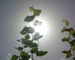 Meteo Valle d'Aosta: oggi il giorno più caldo, poi temperature in leggero calo