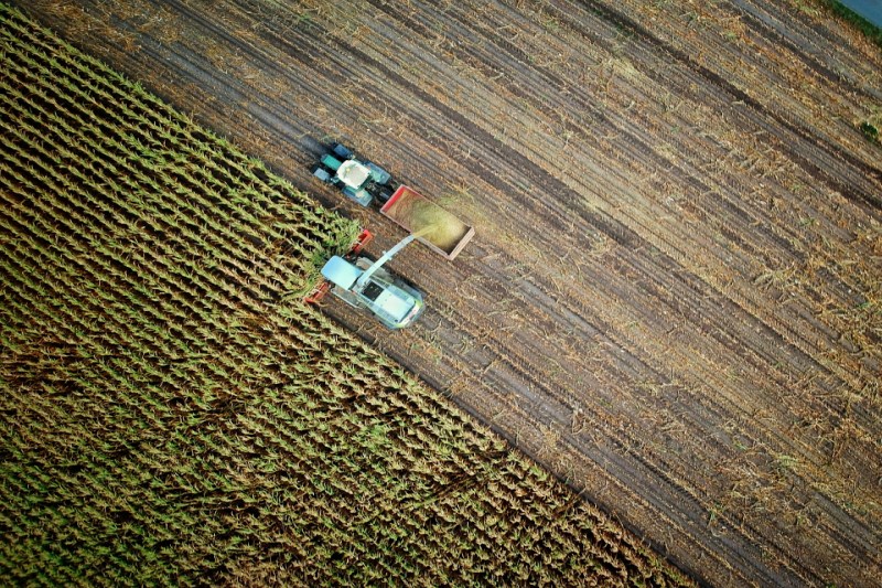 Agricoltura