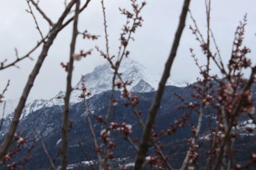 Meteo, neve a quote medio-basse sulla Valle d'Aosta
