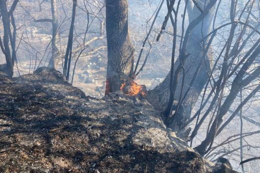 Ancora un incendio: fiamme a Lillianes nel giorno di Pasqua