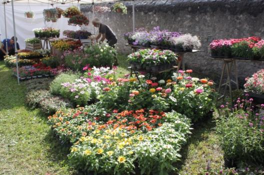 Ad Aymavilles la 4a edizione della mostra mercato Marché aux Fleurs